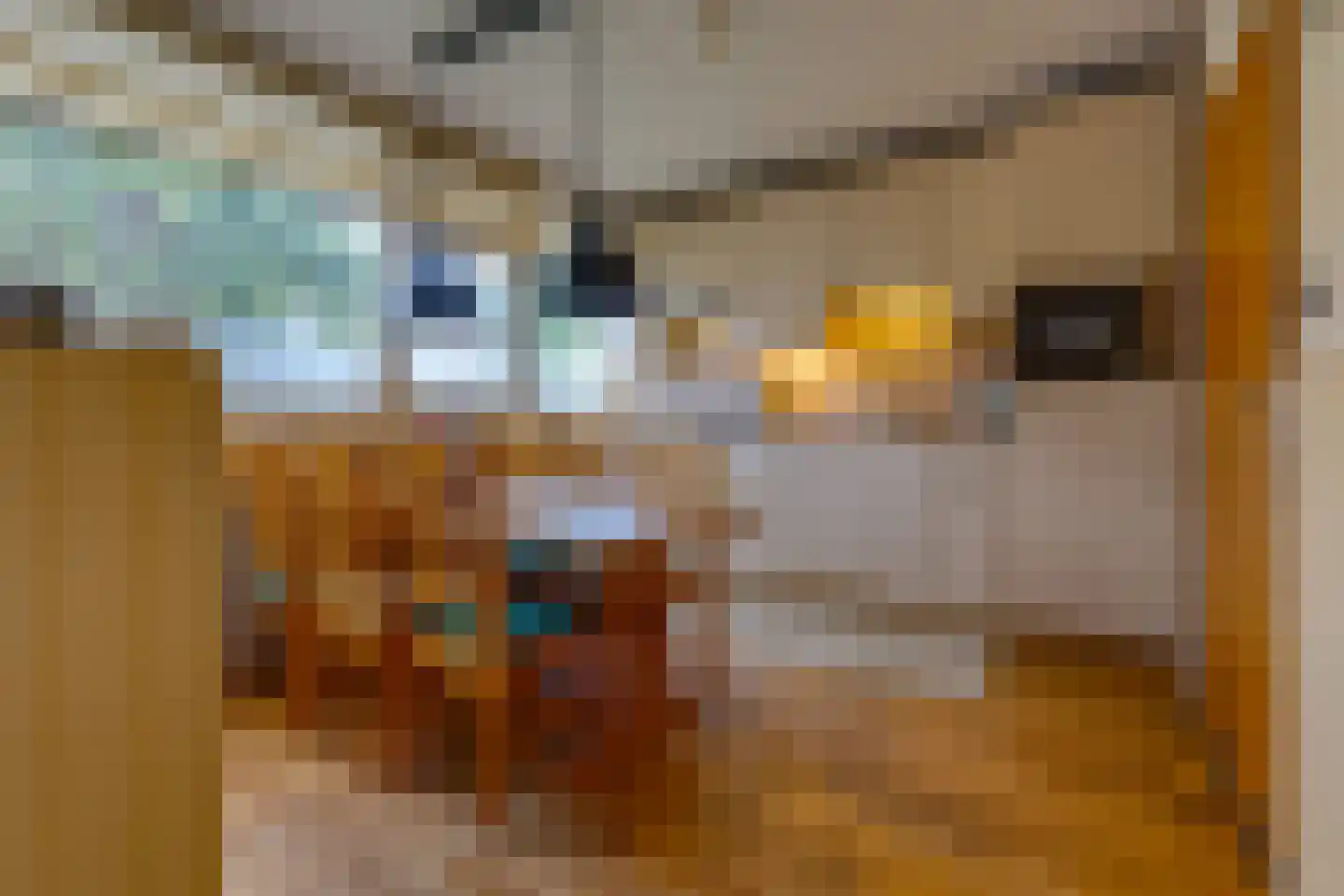 De Wedde 3 Stadskanaal thumbnail 9