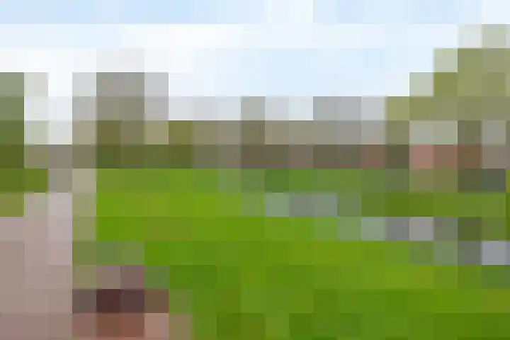 De Wedde 32 Stadskanaal thumbnail 10
