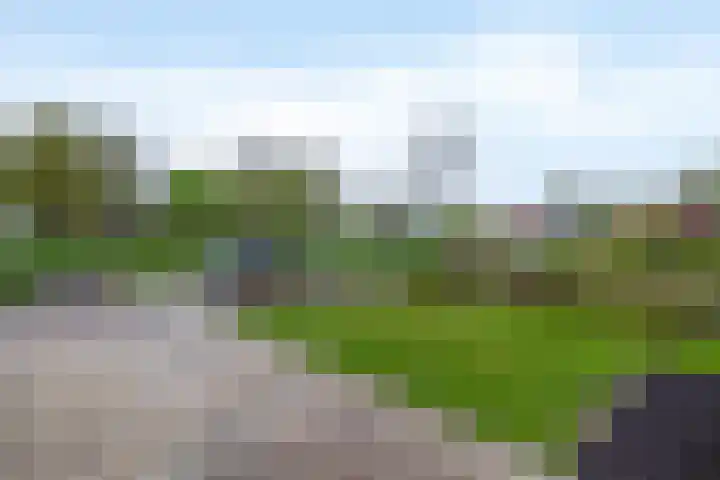 De Wedde 32 Stadskanaal thumbnail 11