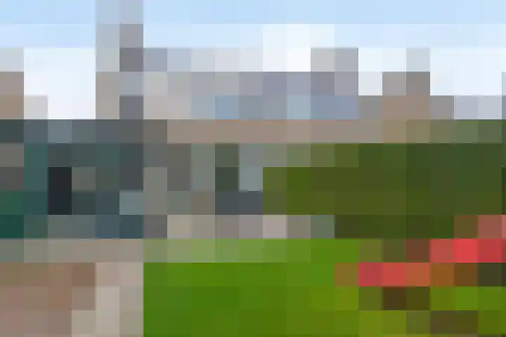 De Wedde 32 Stadskanaal thumbnail 39