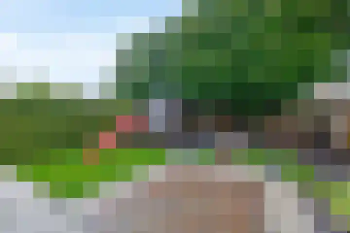 De Wedde 32 Stadskanaal thumbnail 4