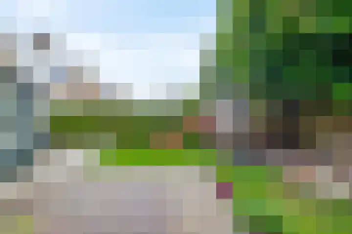 De Wedde 32 Stadskanaal thumbnail 41