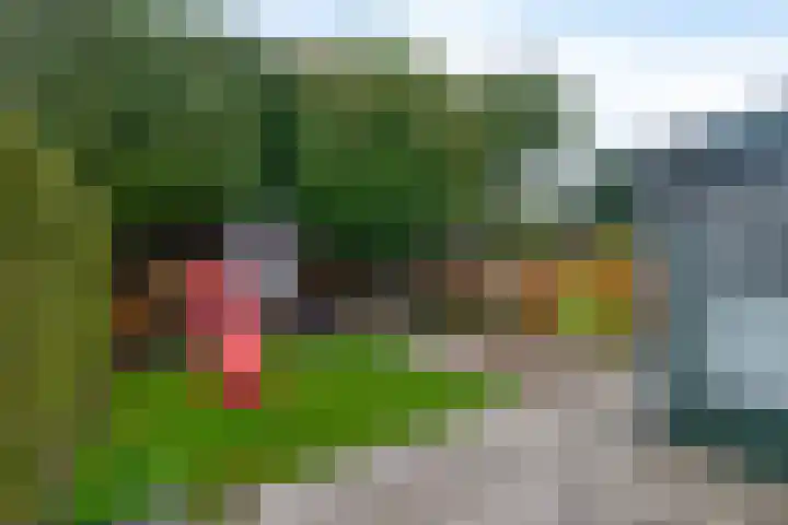 De Wedde 32 Stadskanaal thumbnail 42