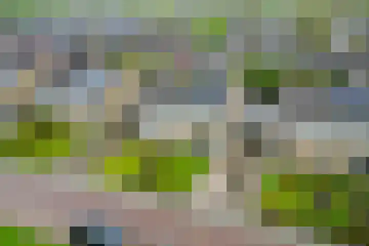 De Wedde 32 Stadskanaal thumbnail 43