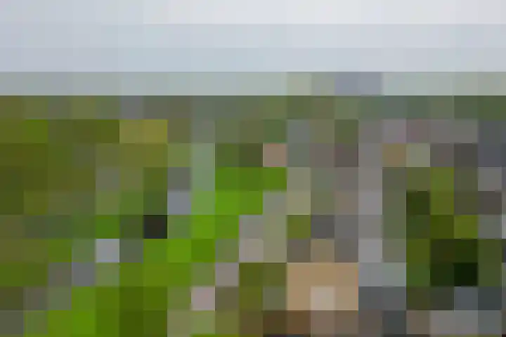 De Wedde 32 Stadskanaal thumbnail 47