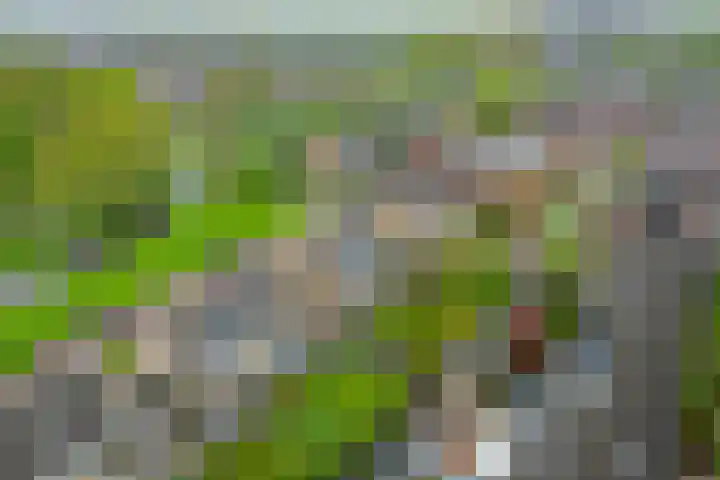 De Wedde 32 Stadskanaal thumbnail 48