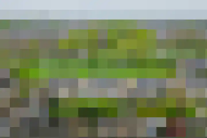 De Wedde 32 Stadskanaal thumbnail 49