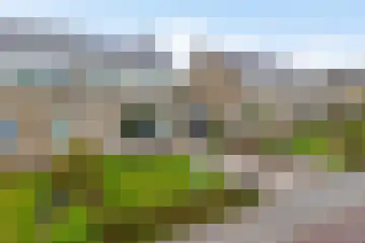 De Wedde 32 Stadskanaal thumbnail 8