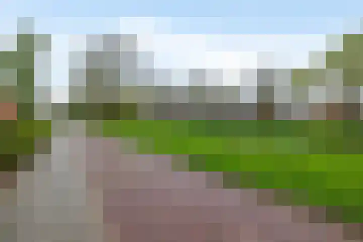 De Wedde 32 Stadskanaal thumbnail 9