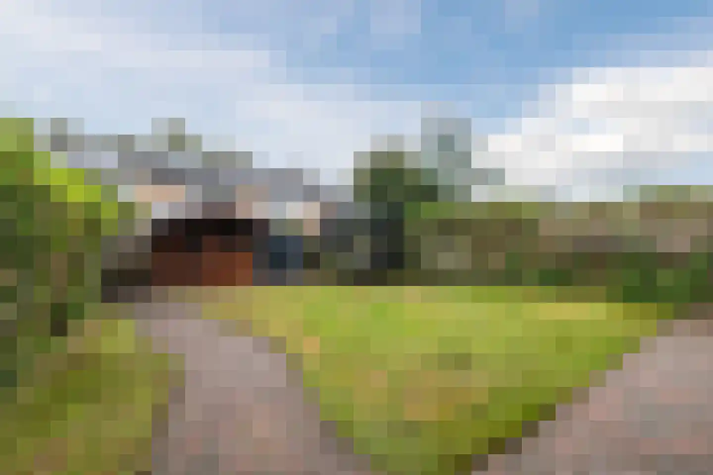 De Wedde 54 Stadskanaal thumbnail 44