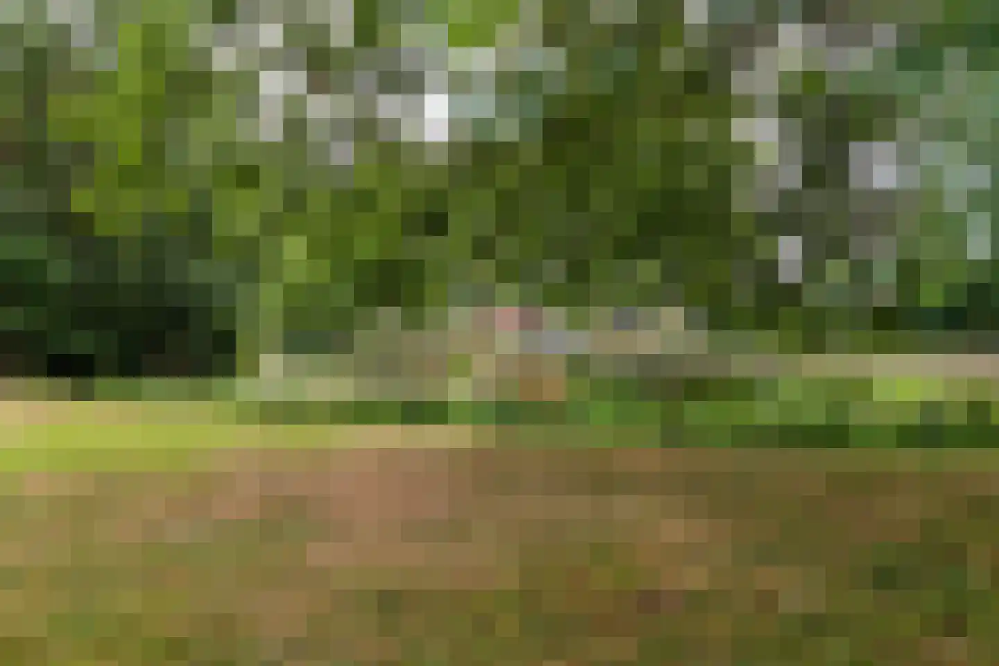 De Wedde 54 Stadskanaal thumbnail 49