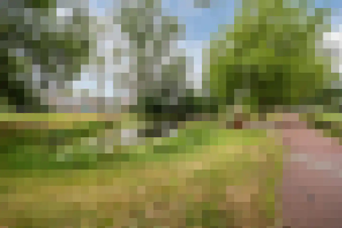 De Wedde 54 Stadskanaal thumbnail 50