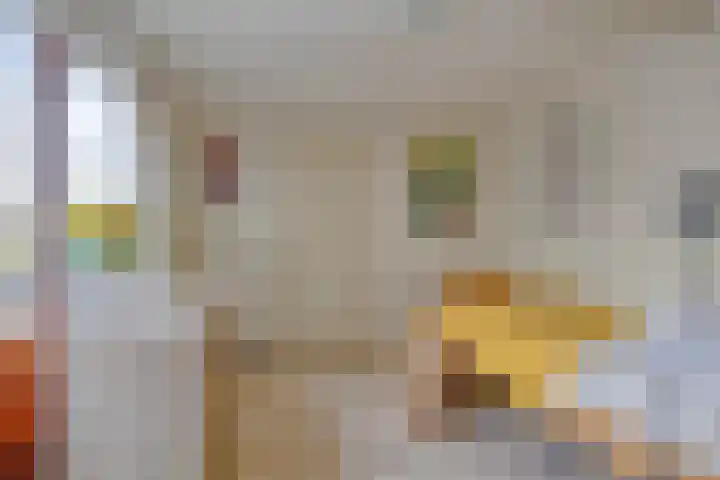 De Wedde 60 Stadskanaal thumbnail 19