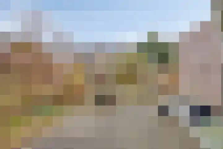 De Wedde 60 Stadskanaal thumbnail 47