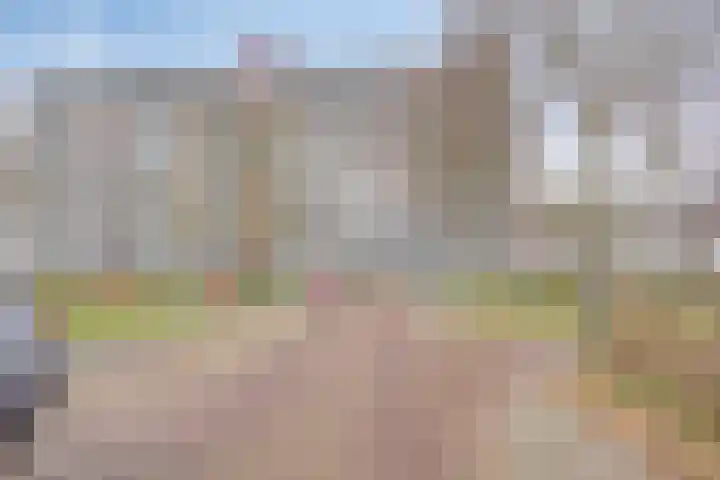 De Wedde 60 Stadskanaal thumbnail 49