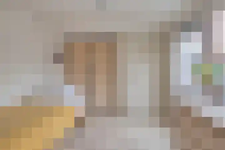 De Wedde 60 Stadskanaal thumbnail 5