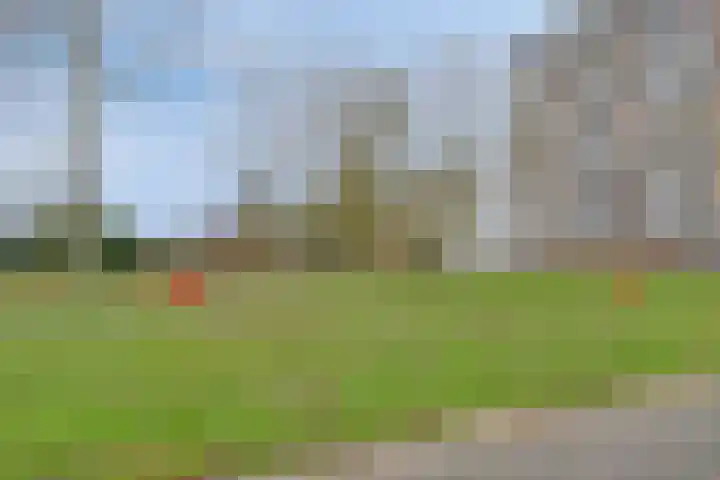 De Wedde 60 Stadskanaal thumbnail 50