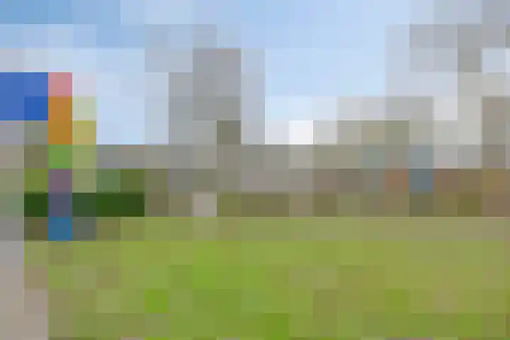 De Wedde 60 Stadskanaal thumbnail 51