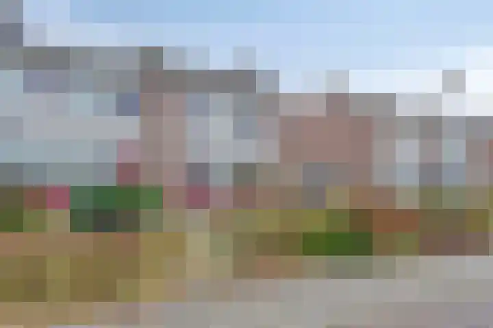 De Wedde 60 Stadskanaal thumbnail 9