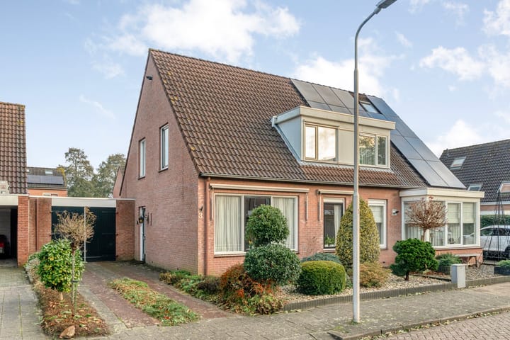 De Wederik 3 en Dedemsvaart foto