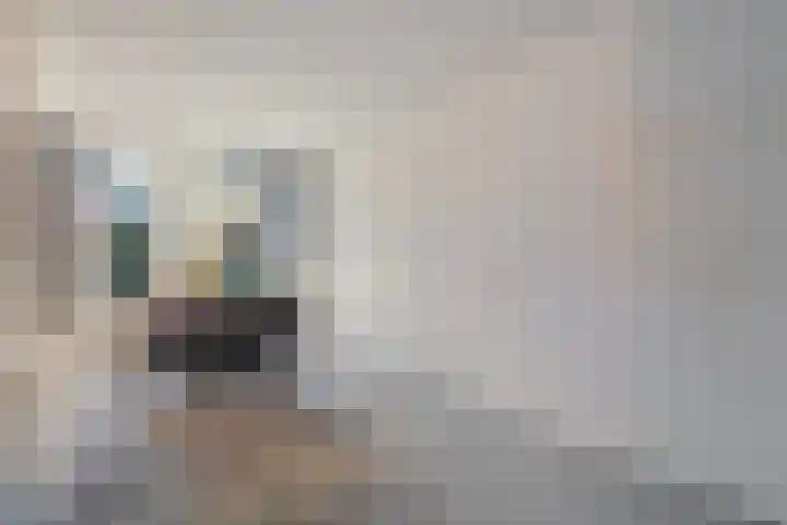 De Wederik 3 Dedemsvaart thumbnail 13