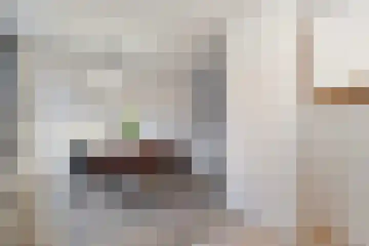 De Wederik 3 Dedemsvaart thumbnail 16