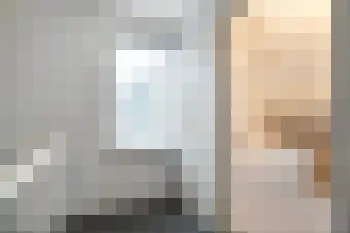 De Wederik 3 Dedemsvaart thumbnail 18