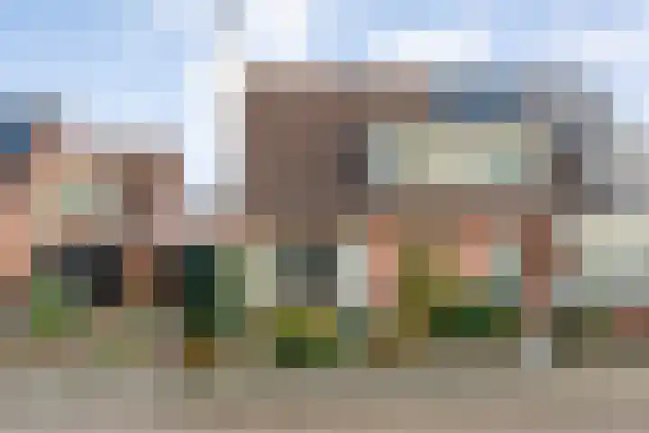 De Wederik 3 Dedemsvaart foto 2