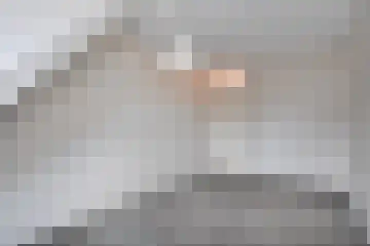 De Wederik 3 Dedemsvaart thumbnail 22