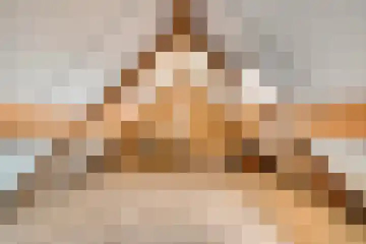 De Wederik 3 Dedemsvaart thumbnail 28