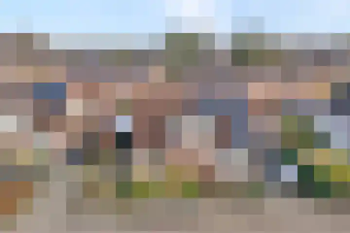 De Wederik 3 Dedemsvaart foto 3