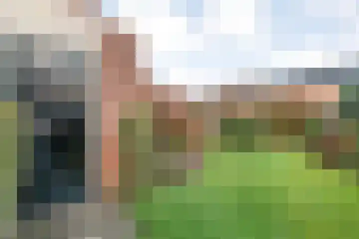De Wederik 3 Dedemsvaart thumbnail 33