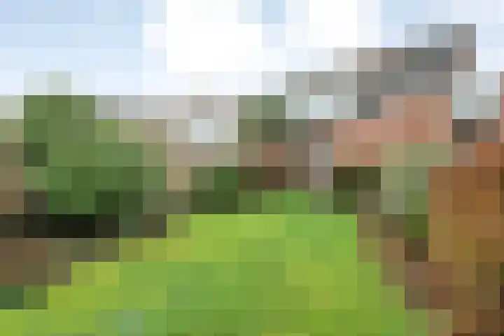 De Wederik 3 Dedemsvaart thumbnail 34