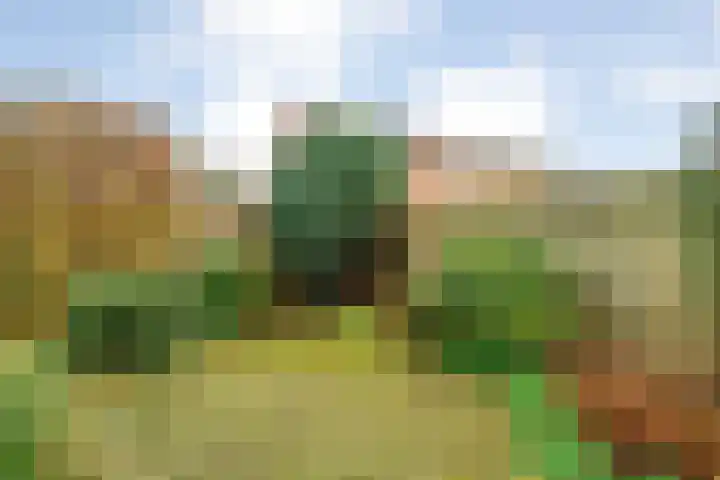De Wederik 3 Dedemsvaart thumbnail 35