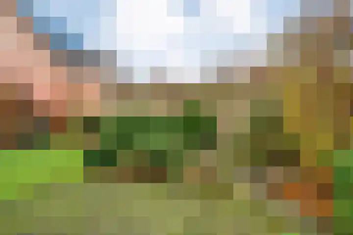 De Wederik 3 Dedemsvaart thumbnail 36