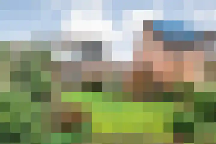 De Wederik 3 Dedemsvaart thumbnail 37