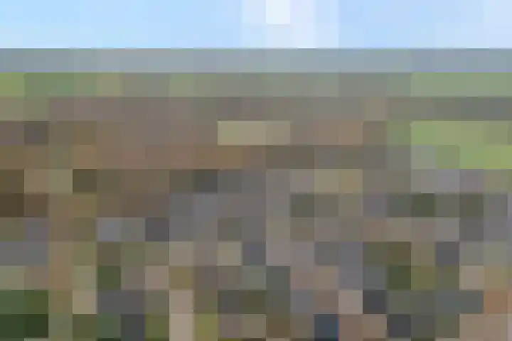 De Wederik 3 Dedemsvaart thumbnail 39