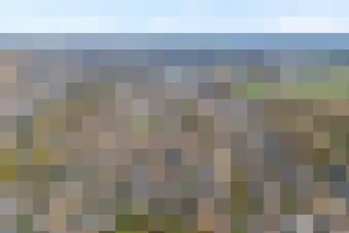 De Wederik 3 Dedemsvaart thumbnail 4