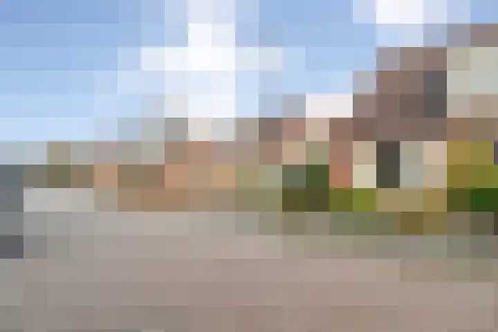 De Wederik 3 Dedemsvaart thumbnail 41