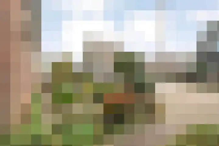 De Wederik 3 Dedemsvaart thumbnail 43