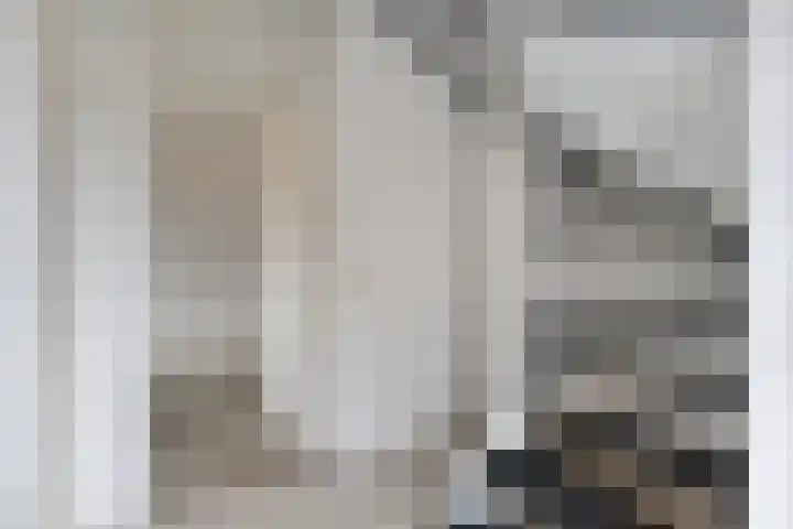 De Wederik 3 Dedemsvaart thumbnail 6