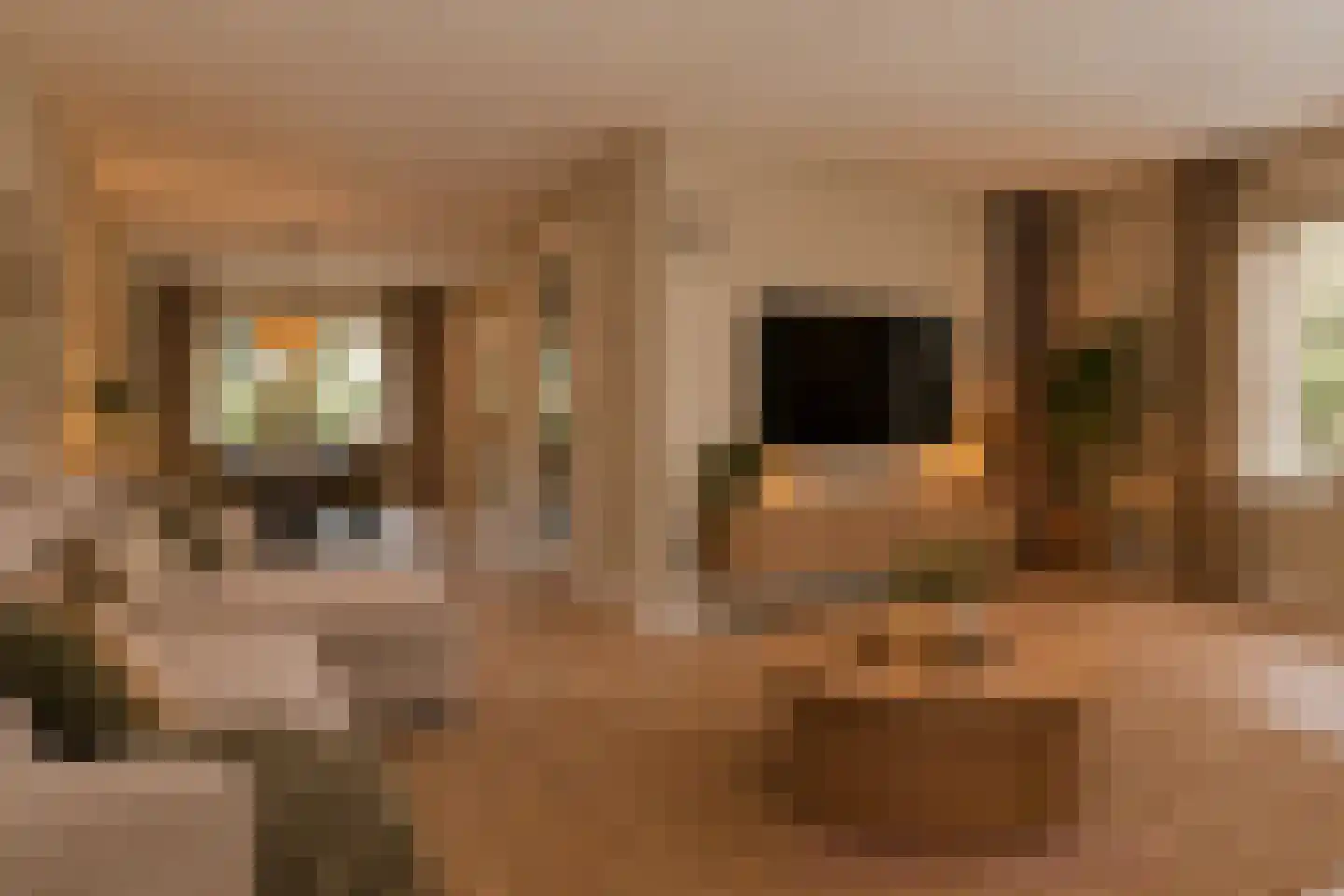 De Weech 16 Luxwoude thumbnail 14
