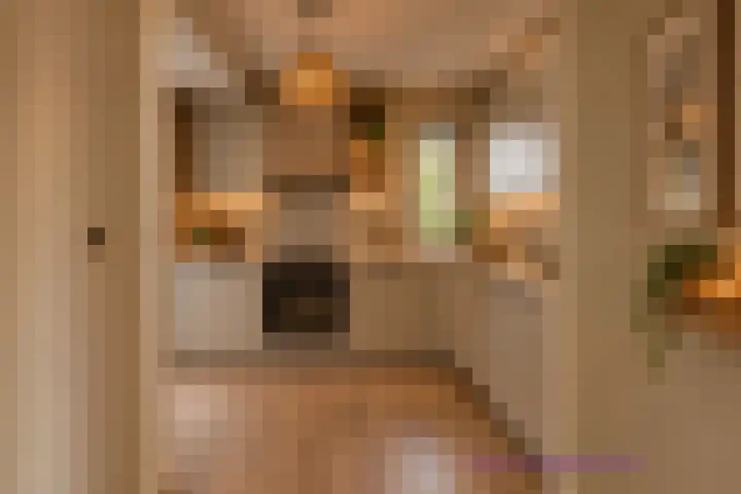 De Weech 16 Luxwoude thumbnail 16