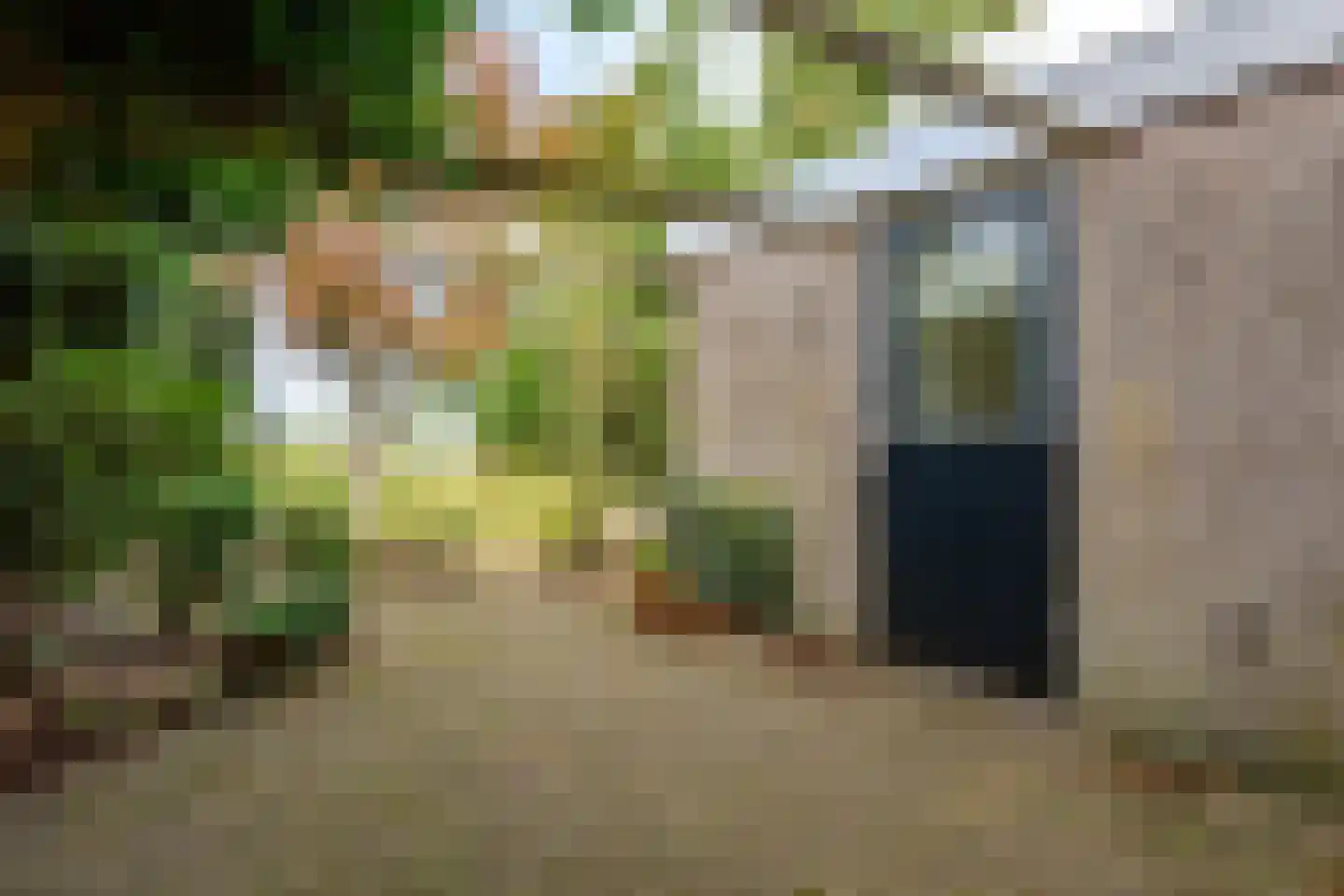 De Weech 16 Luxwoude thumbnail 26