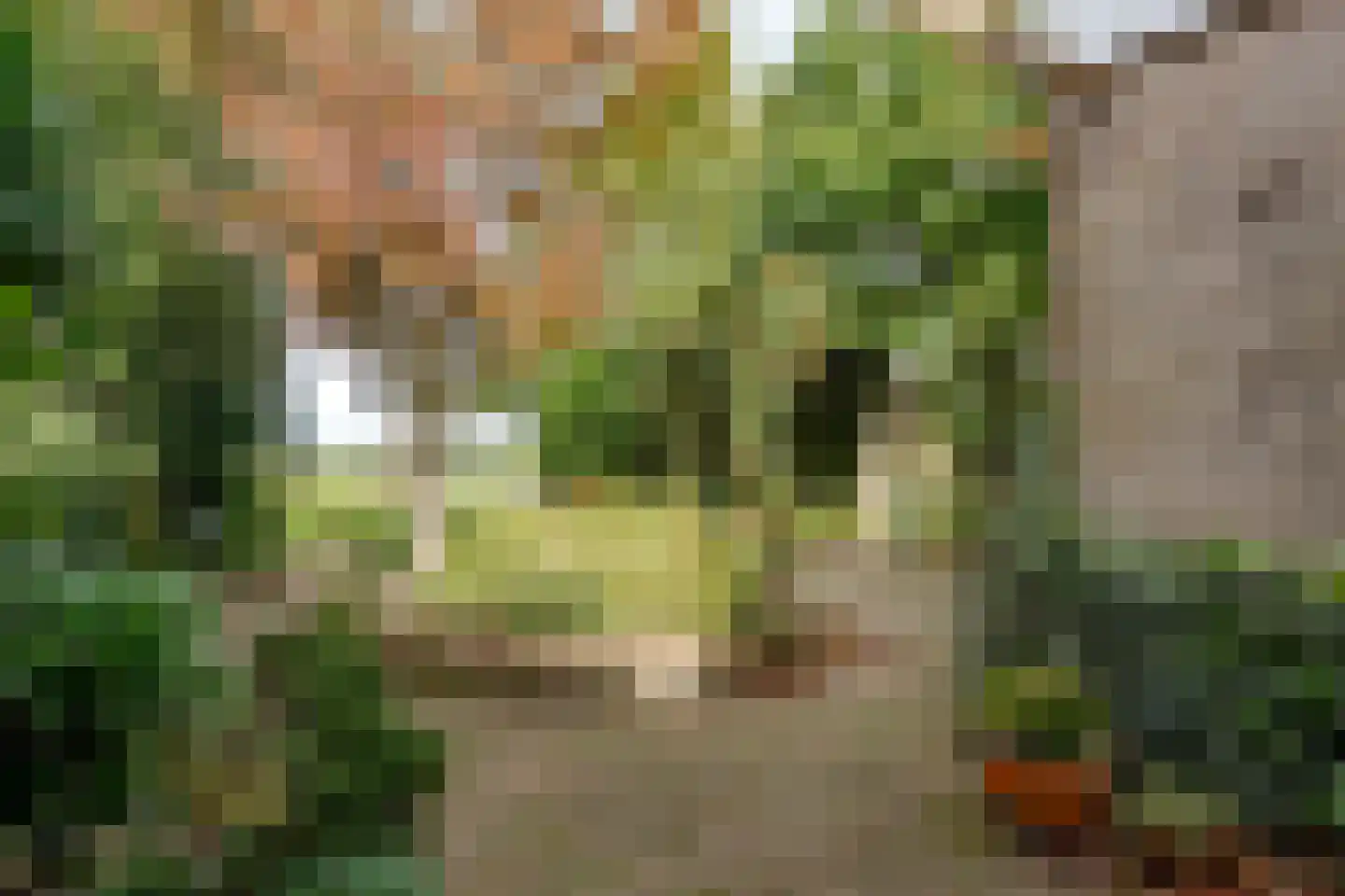 De Weech 16 Luxwoude thumbnail 27
