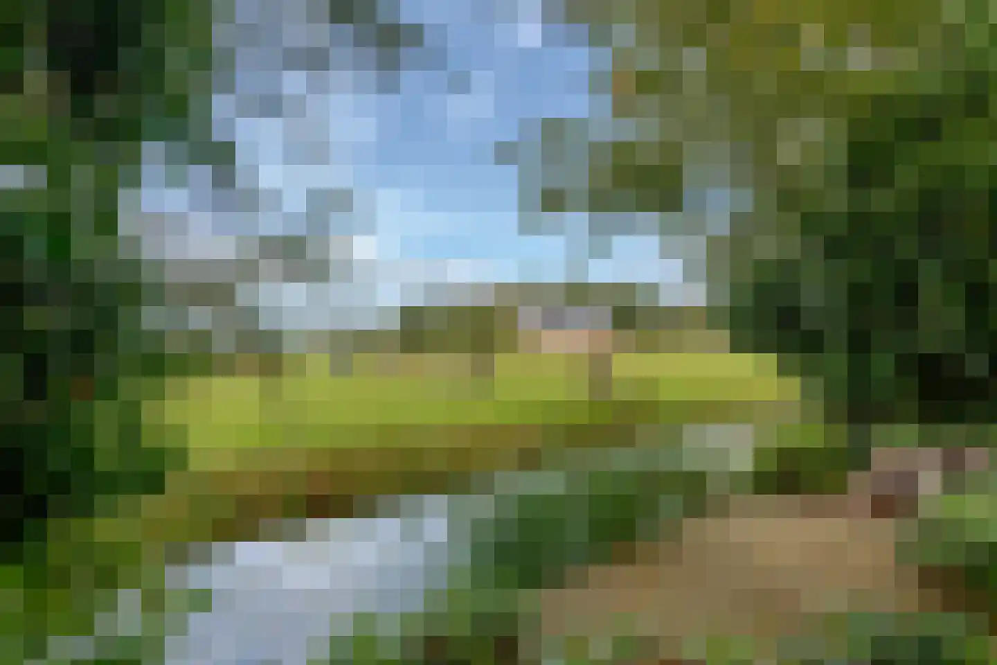 De Weech 16 Luxwoude thumbnail 5