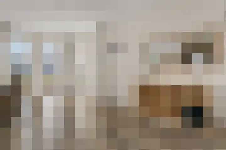 De Weech 39 Luxwoude thumbnail 13