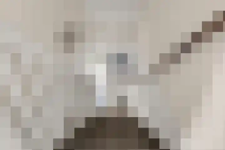 De Weech 39 Luxwoude thumbnail 23