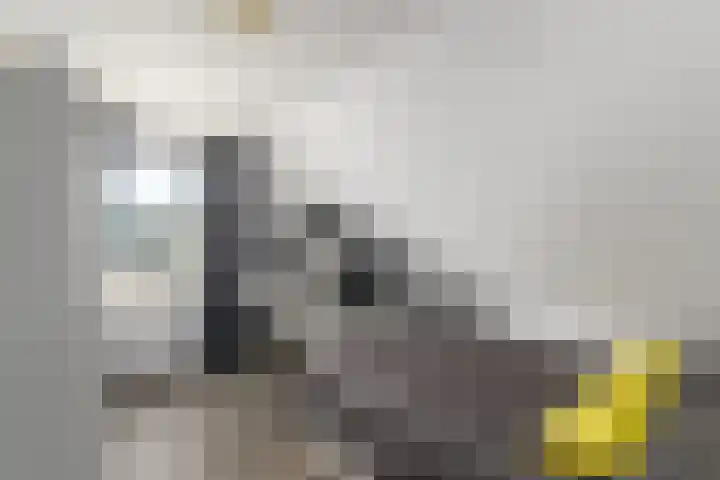 De Weech 9 Luxwoude thumbnail 16