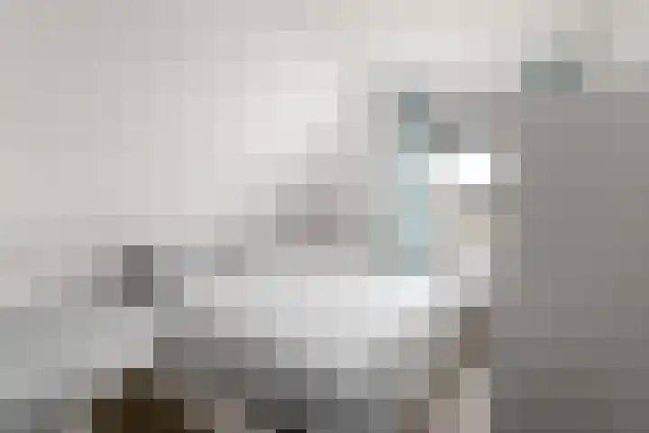 De Weech 9 Luxwoude thumbnail 18